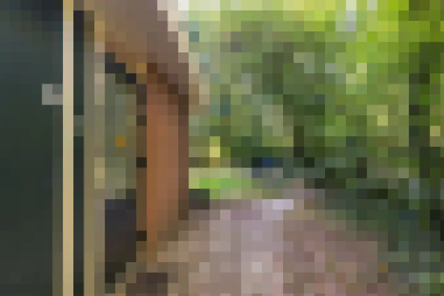 Slenerweg 83 27 Schoonoord thumbnail 11