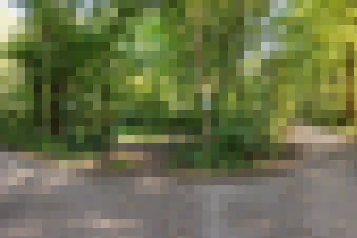 Slenerweg 83 27 Schoonoord thumbnail 26