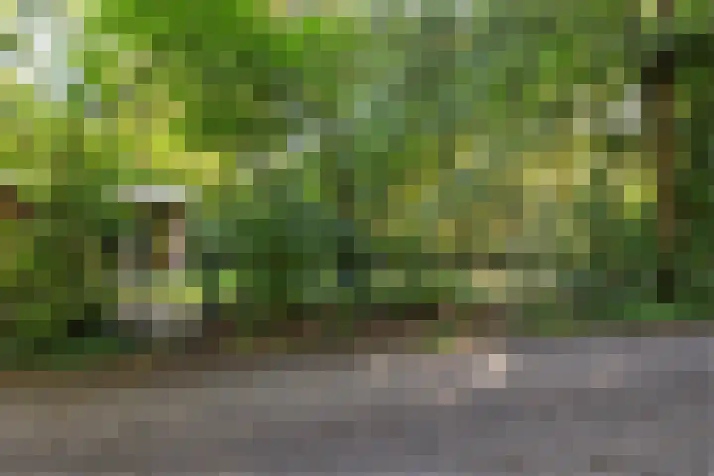Slenerweg 83 27 Schoonoord thumbnail 27