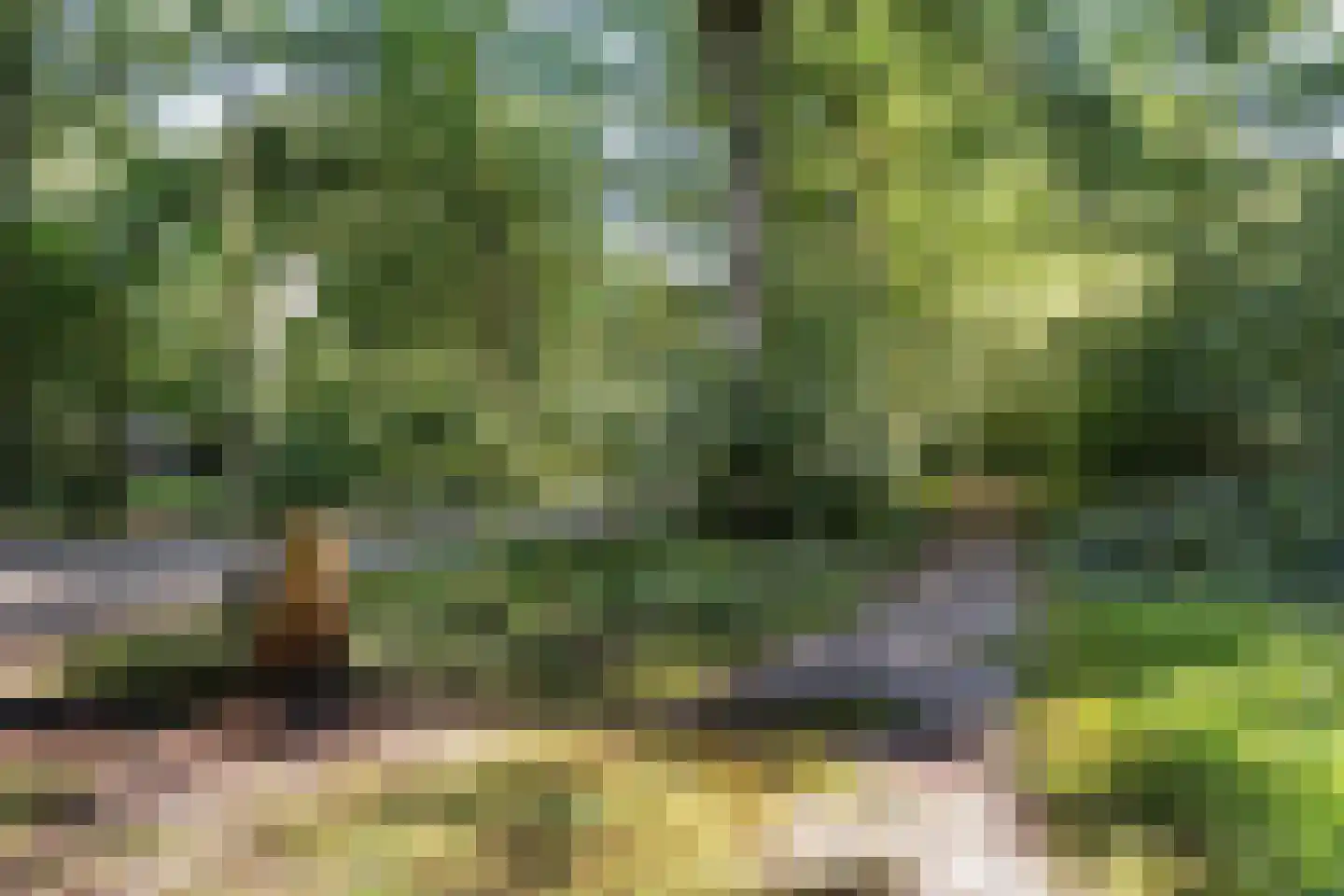 Slenerweg 83 27 Schoonoord thumbnail 28