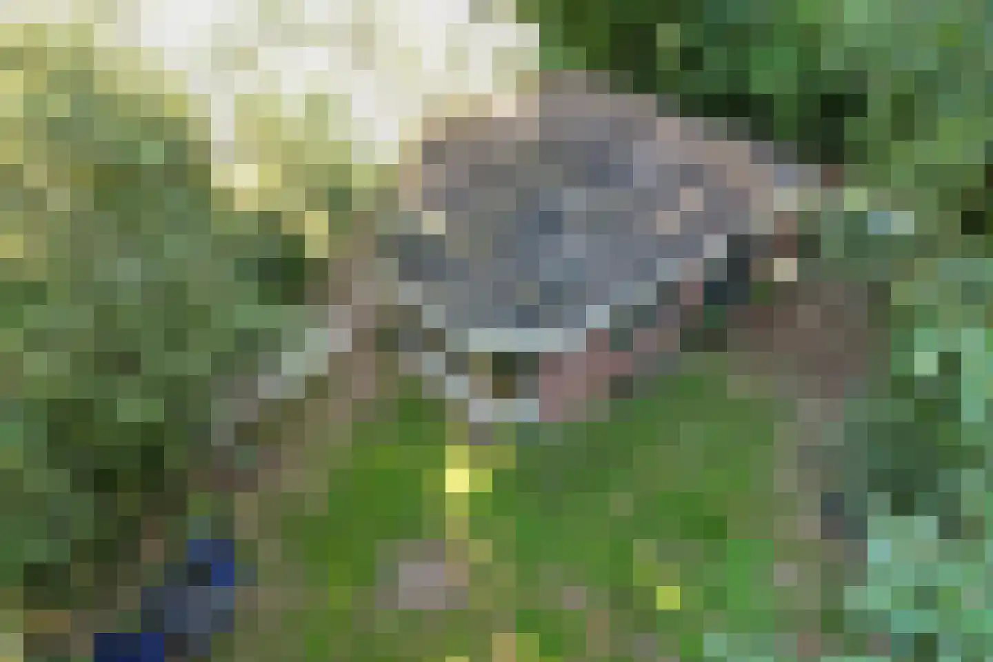 Slenerweg 83 27 Schoonoord thumbnail 30