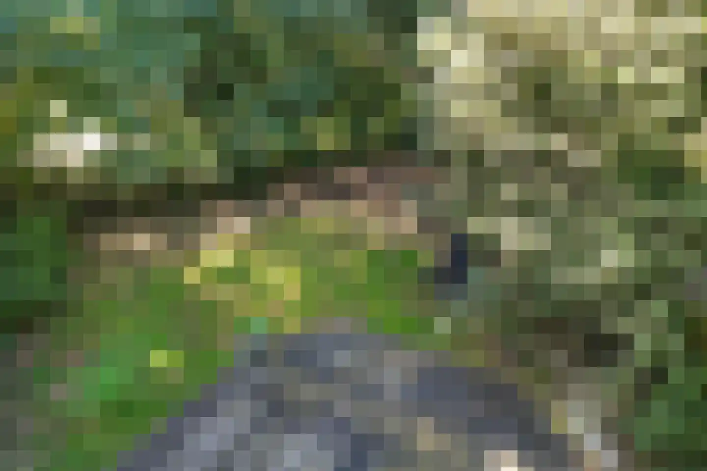 Slenerweg 83 27 Schoonoord thumbnail 31