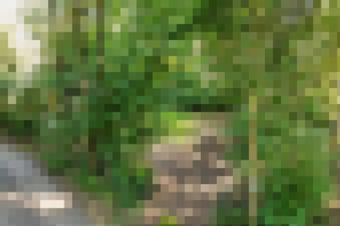 Slenerweg 83 27 Schoonoord thumbnail 32