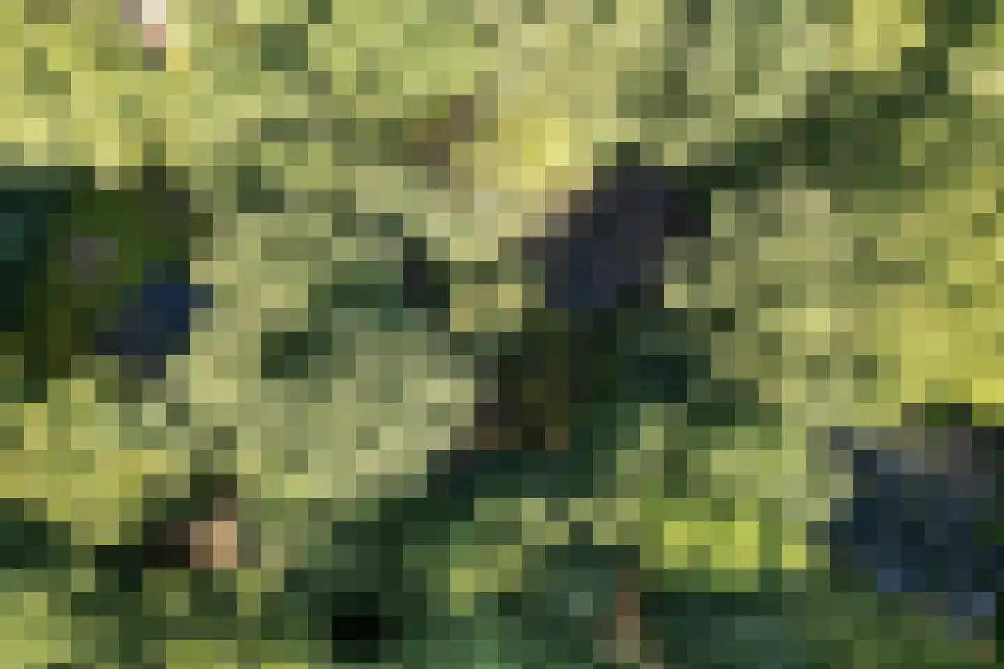 Slenerweg 83 27 Schoonoord thumbnail 33