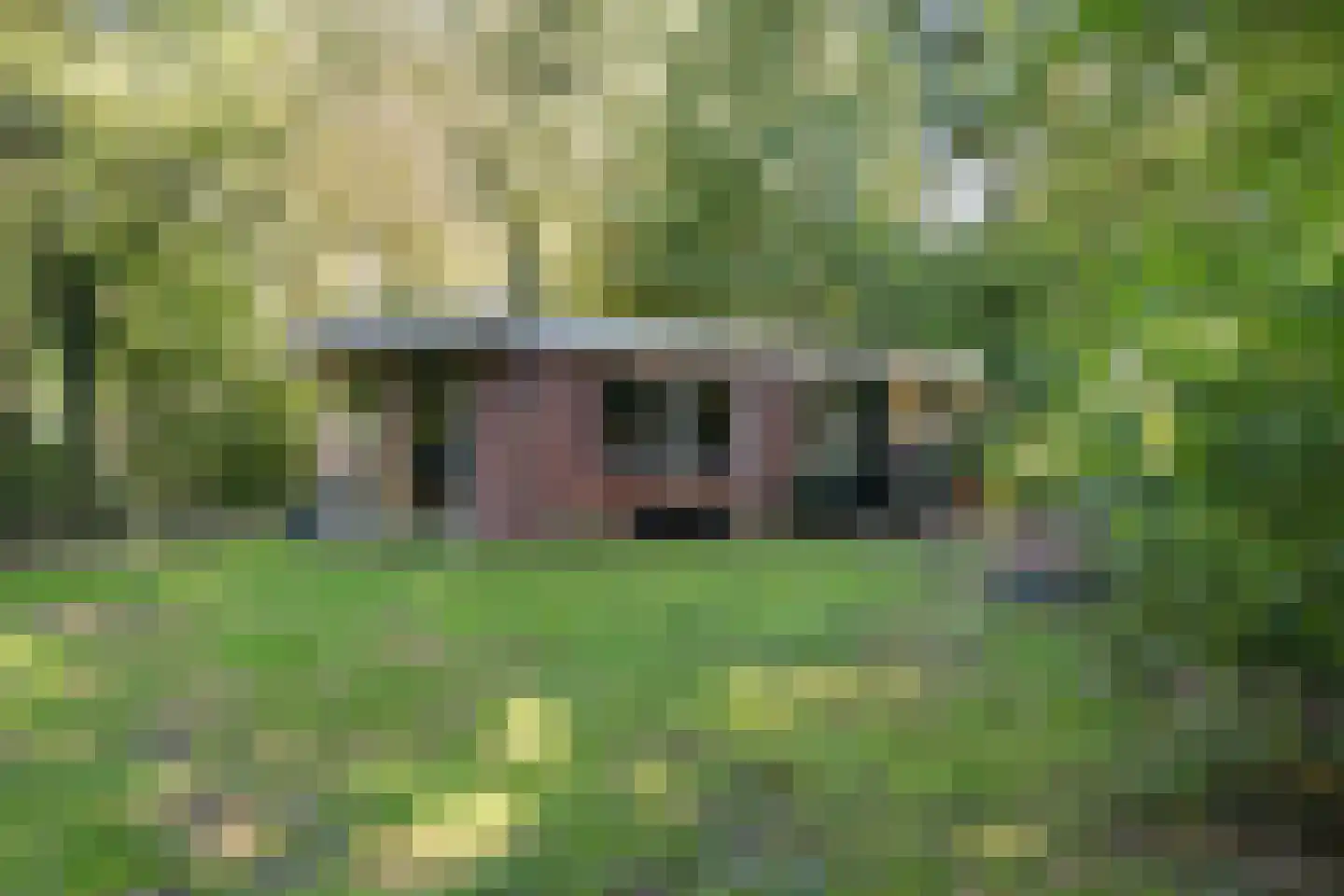 Slenerweg 83 27 Schoonoord thumbnail 5
