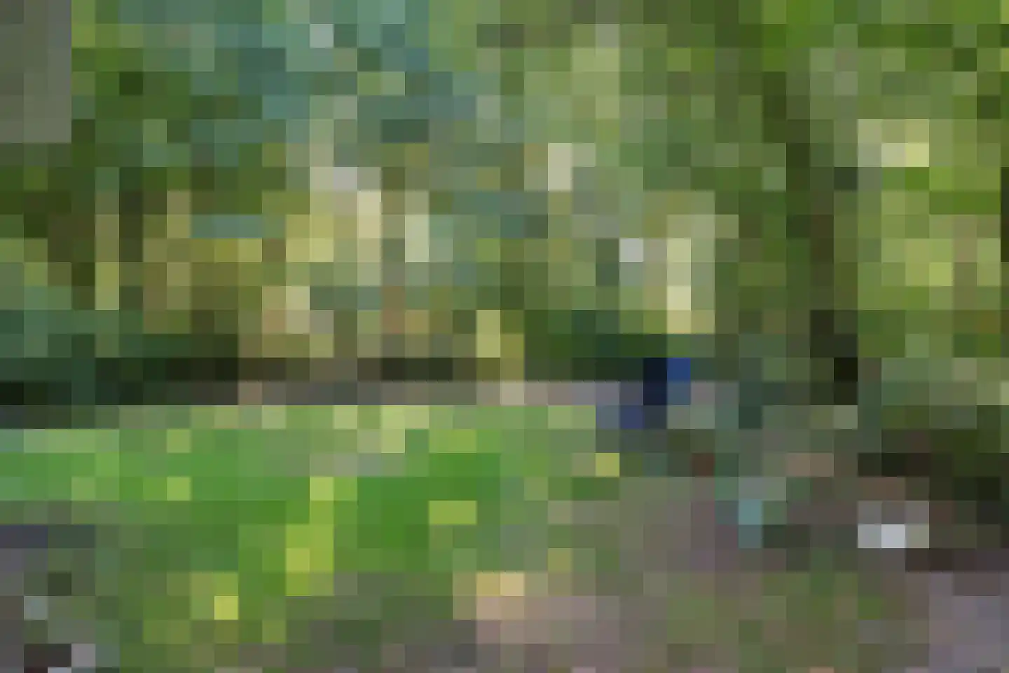 Slenerweg 83 27 Schoonoord thumbnail 6