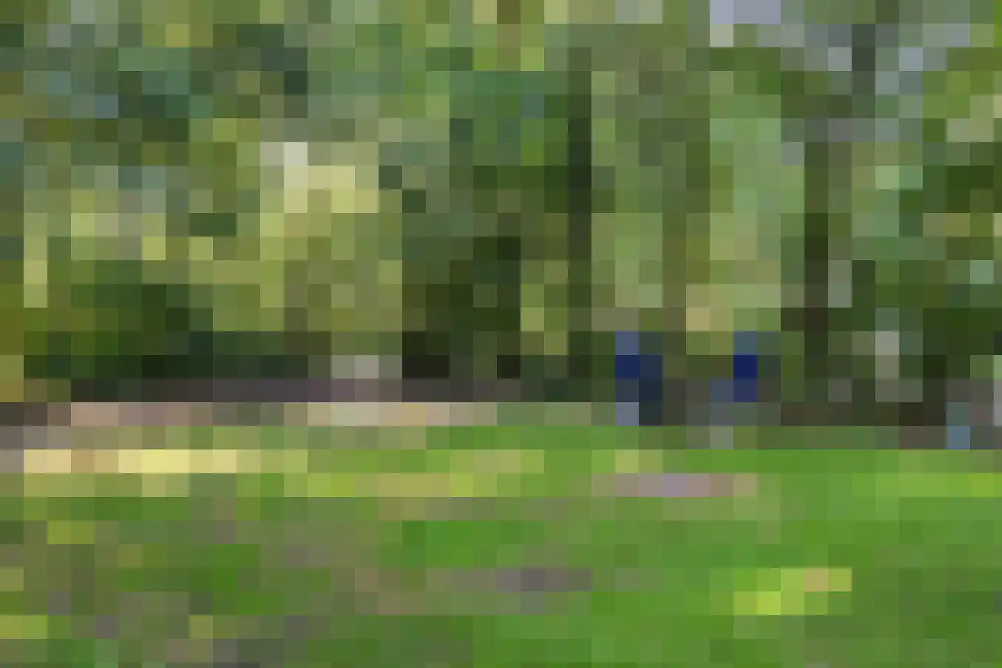 Slenerweg 83 27 Schoonoord thumbnail 7