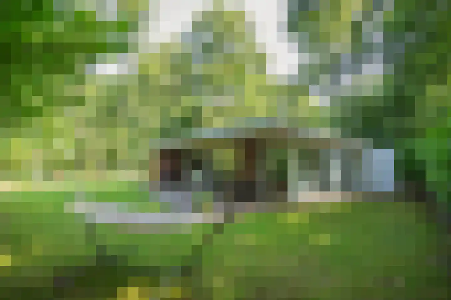 Slenerweg 83 29 in Schoonoord