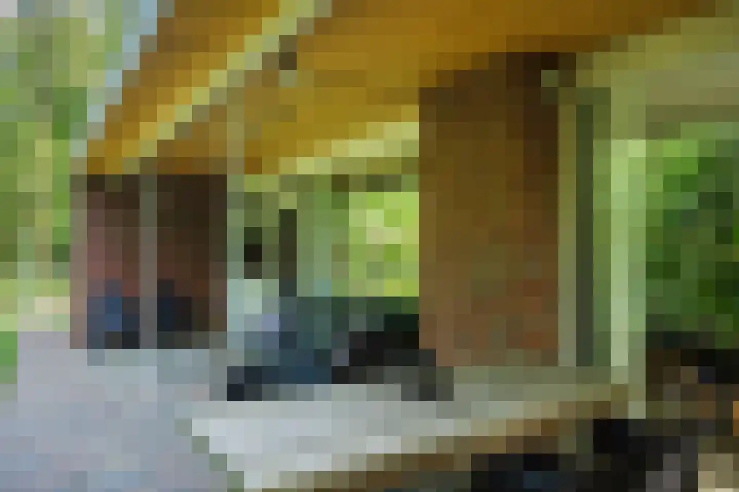 Slenerweg 83 29 Schoonoord thumbnail 28