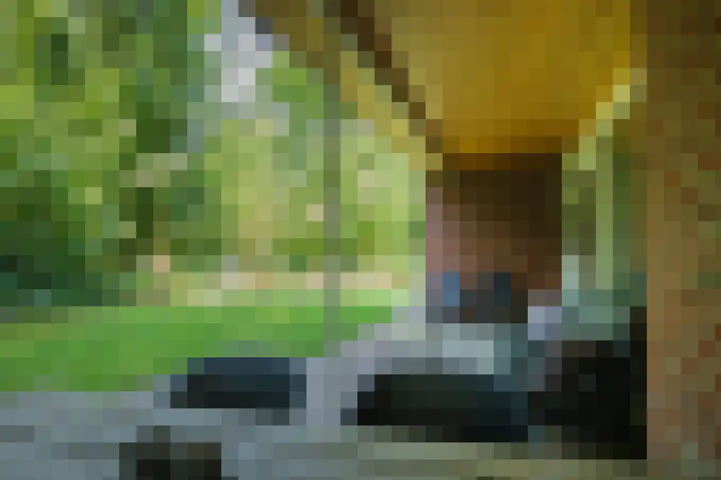 Slenerweg 83 29 Schoonoord thumbnail 30