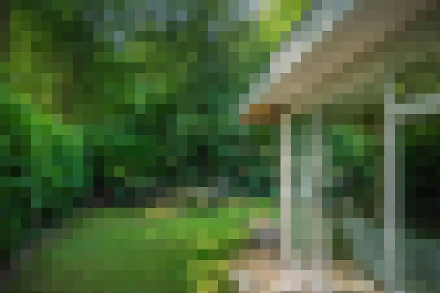 Slenerweg 83 29 Schoonoord thumbnail 33
