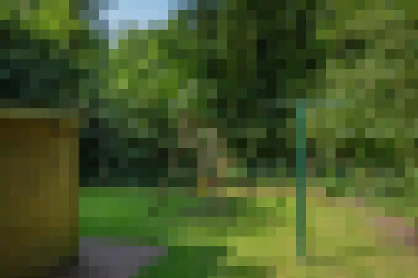 Slenerweg 83 29 Schoonoord thumbnail 34