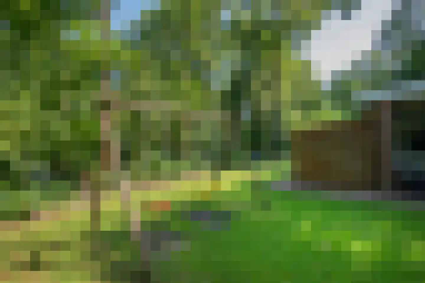 Slenerweg 83 29 Schoonoord thumbnail 35