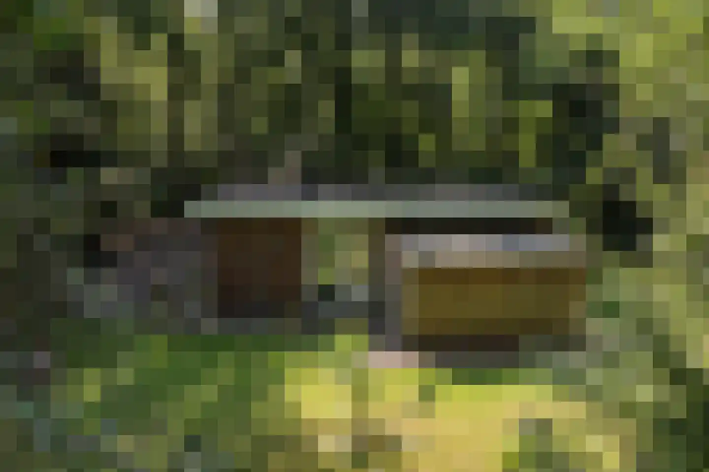Slenerweg 83 29 Schoonoord thumbnail 38