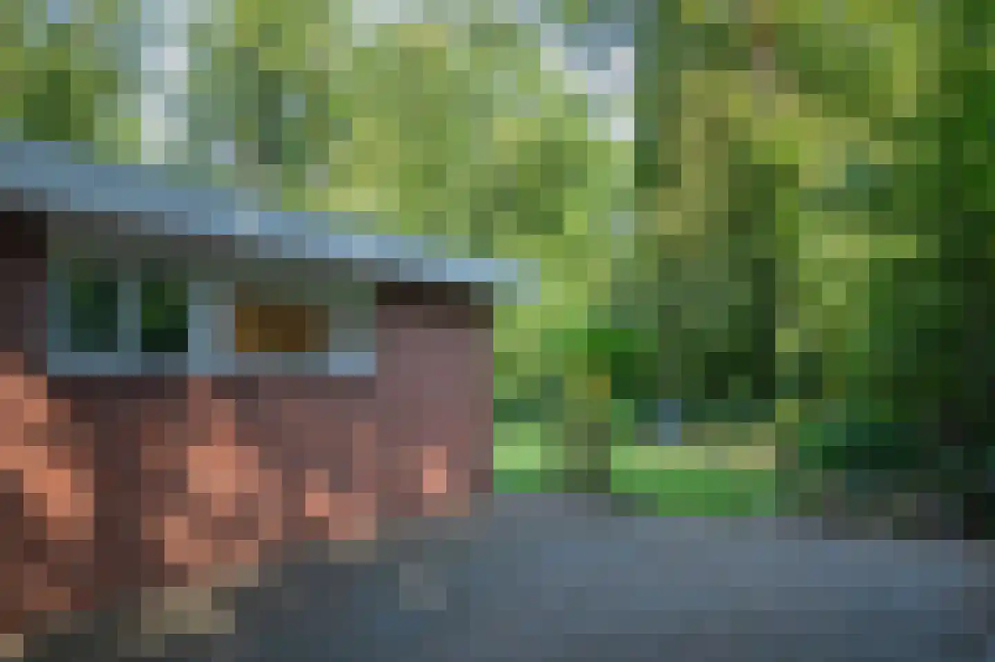 Slenerweg 83 29 Schoonoord thumbnail 39