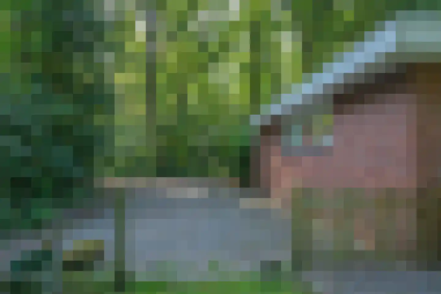 Slenerweg 83 29 Schoonoord thumbnail 40