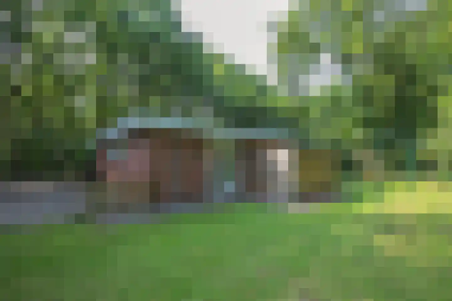 Slenerweg 83 29 Schoonoord thumbnail 42