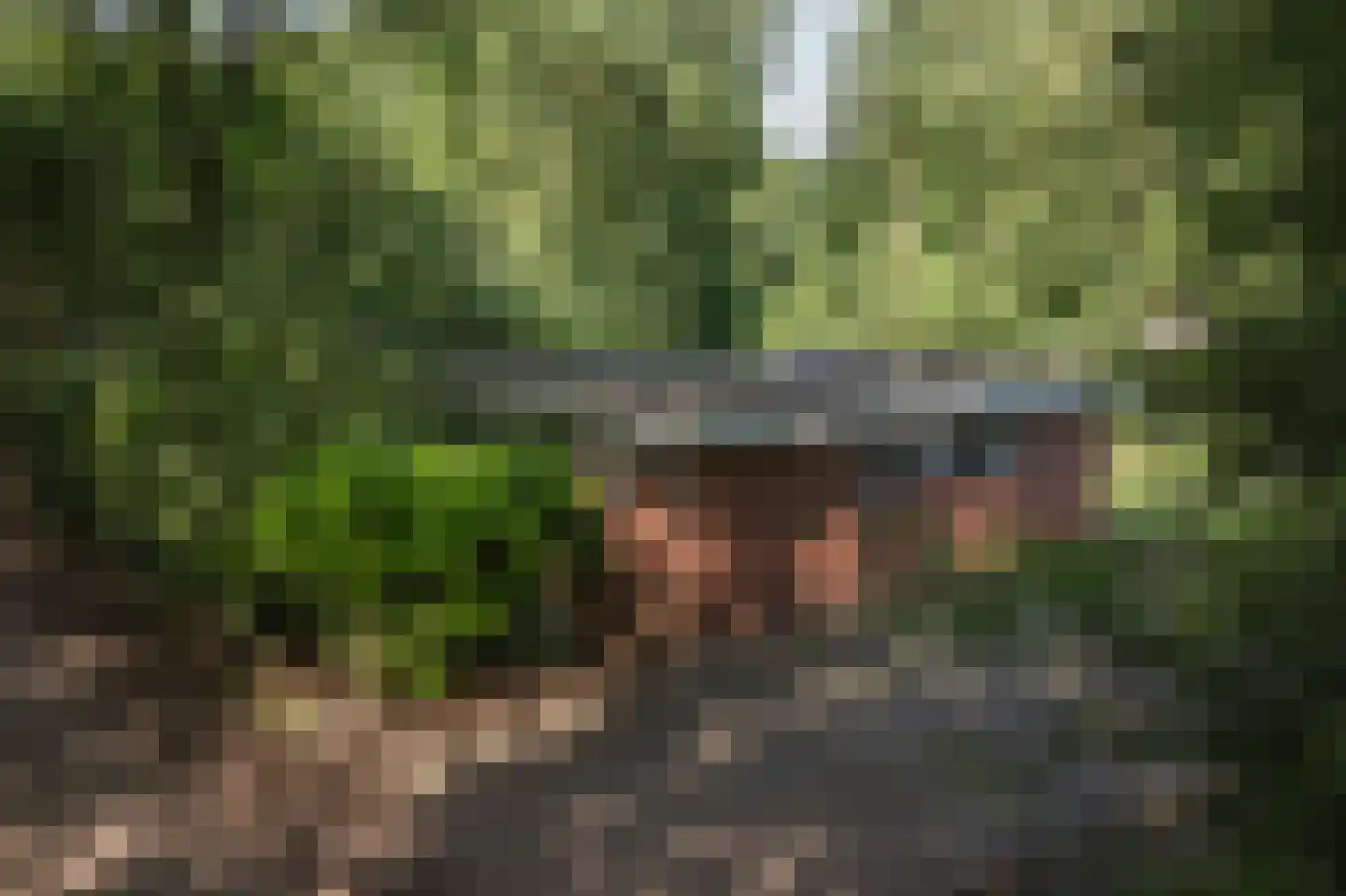 Slenerweg 83 29 Schoonoord thumbnail 43