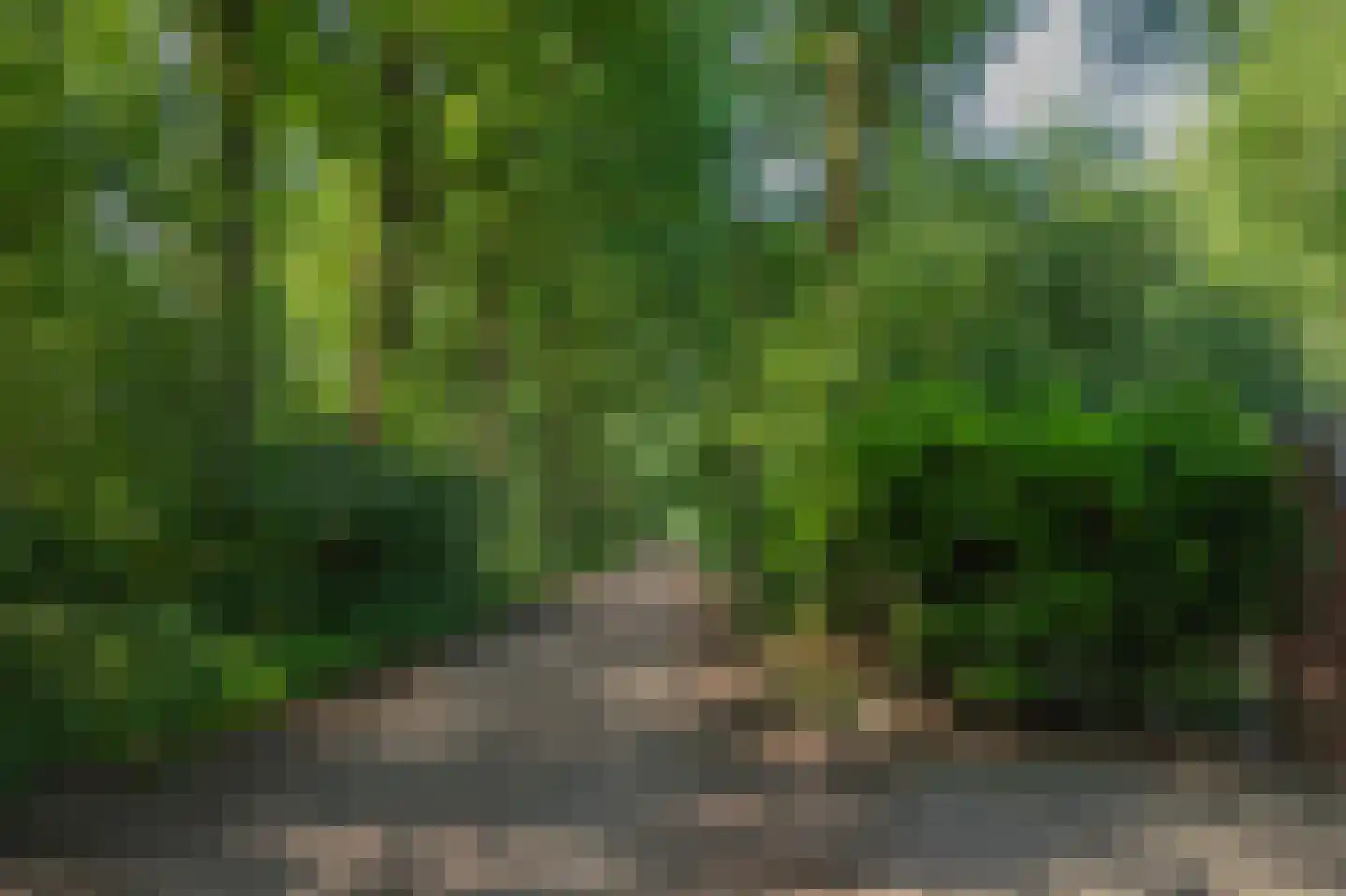 Slenerweg 83 29 Schoonoord thumbnail 44