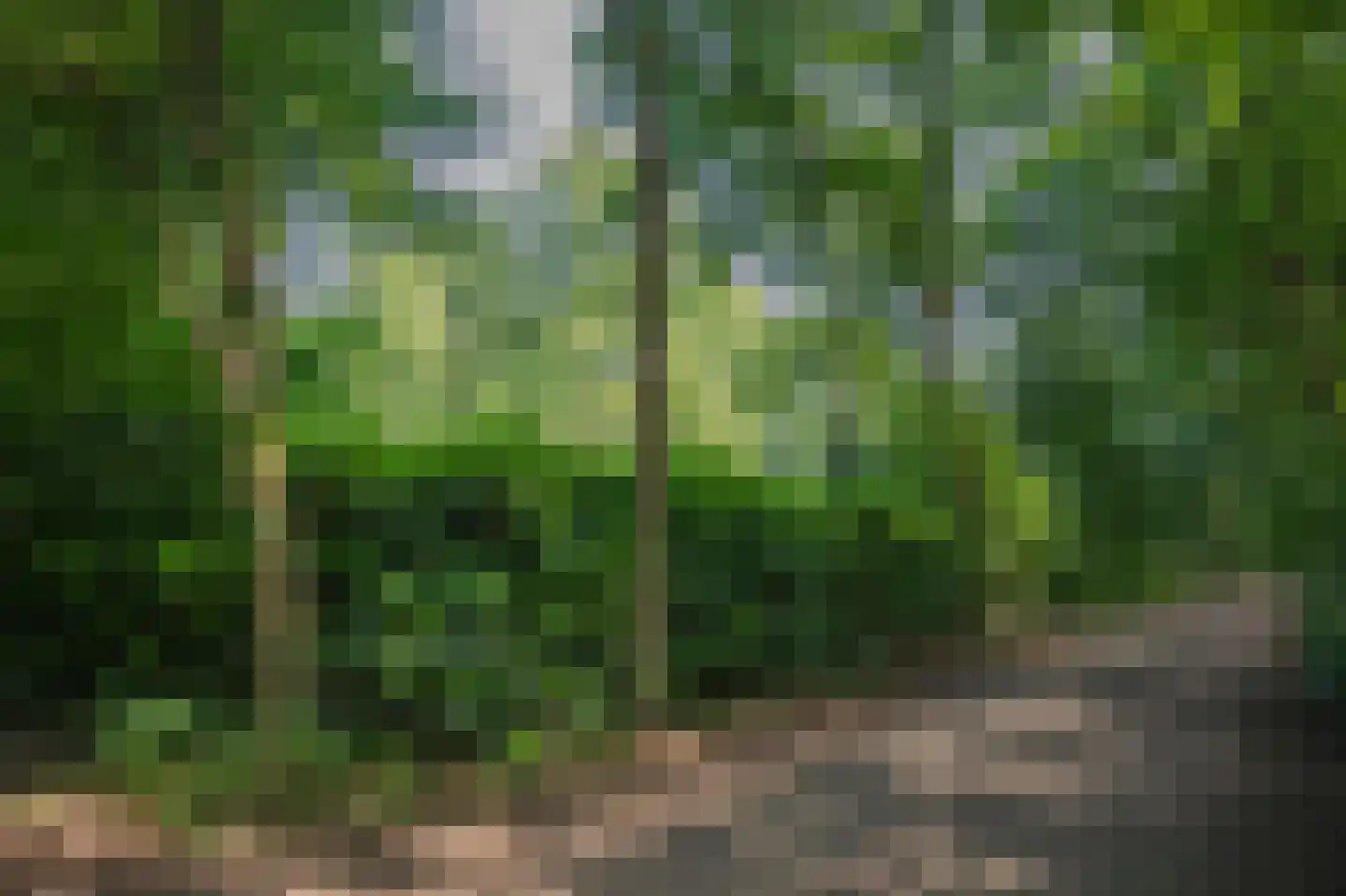 Slenerweg 83 29 Schoonoord thumbnail 45