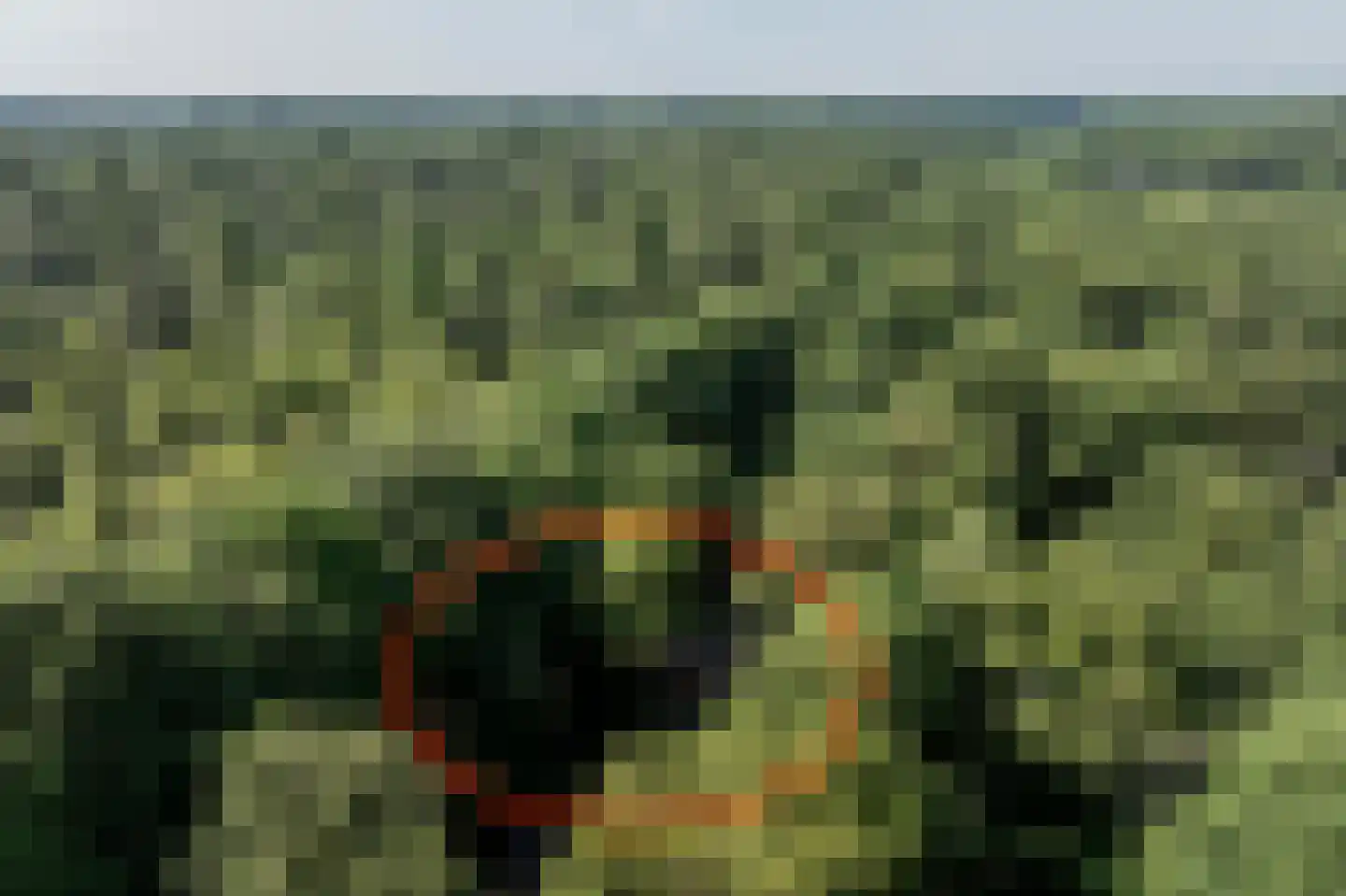 Slenerweg 83 29 Schoonoord thumbnail 47