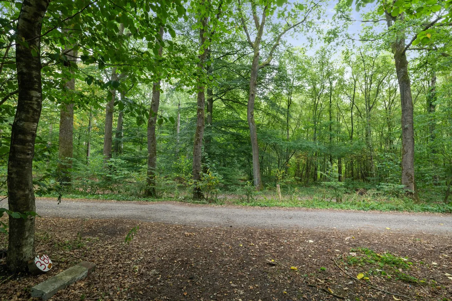 Slenerweg 83 38A Schoonoord thumbnail 35
