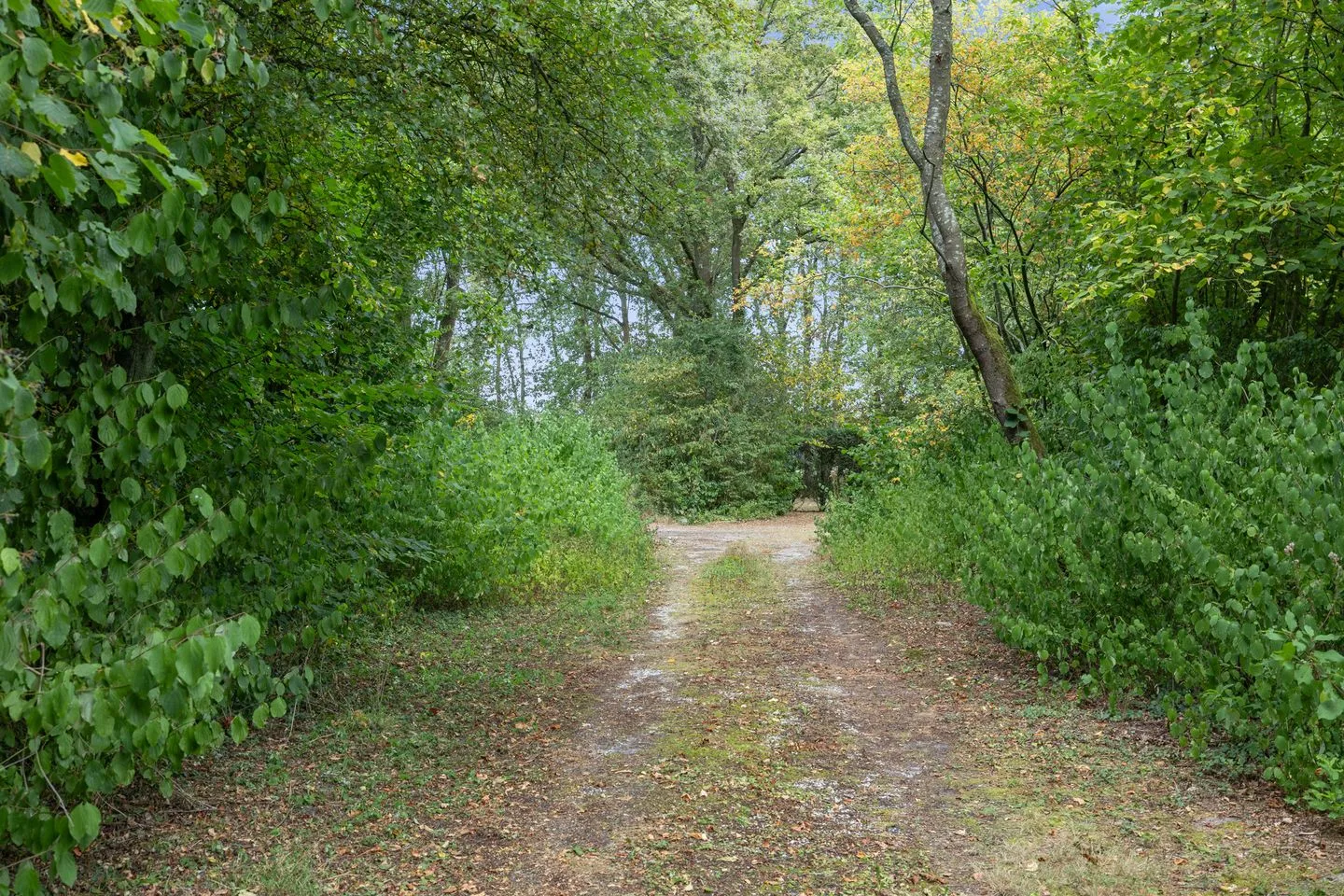Slenerweg 83 38A Schoonoord thumbnail 6