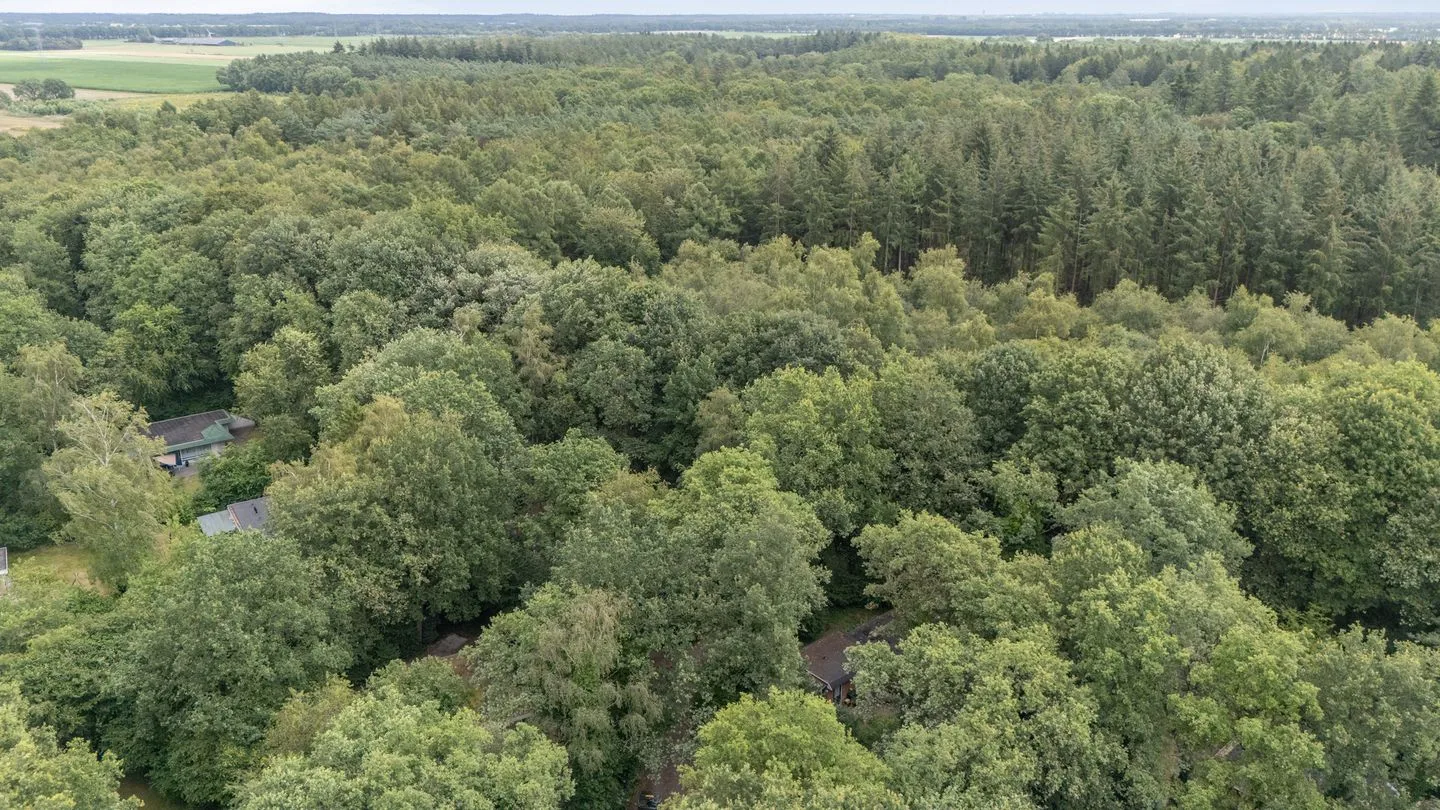 Slenerweg 83 39 Schoonoord thumbnail 29