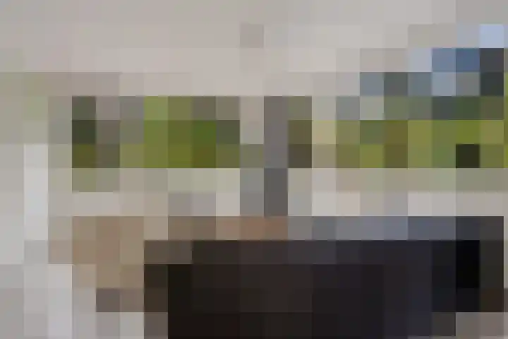 Slenerweg 83 40 Schoonoord thumbnail 10