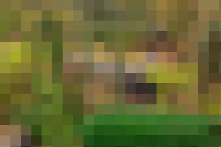 Slenerweg 83 40 Schoonoord thumbnail 29