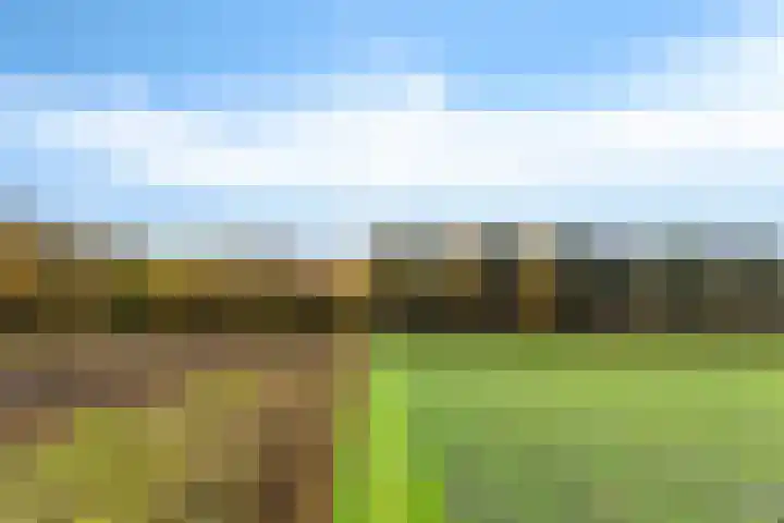 Slenerweg 83 40 Schoonoord thumbnail 33