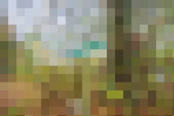 Slenerweg 83 40 Schoonoord thumbnail 34