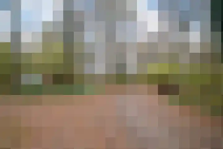 Slenerweg 83 40 Schoonoord thumbnail 35