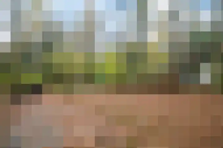 Slenerweg 83 40 Schoonoord thumbnail 37