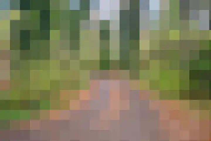 Slenerweg 83 40 Schoonoord thumbnail 38