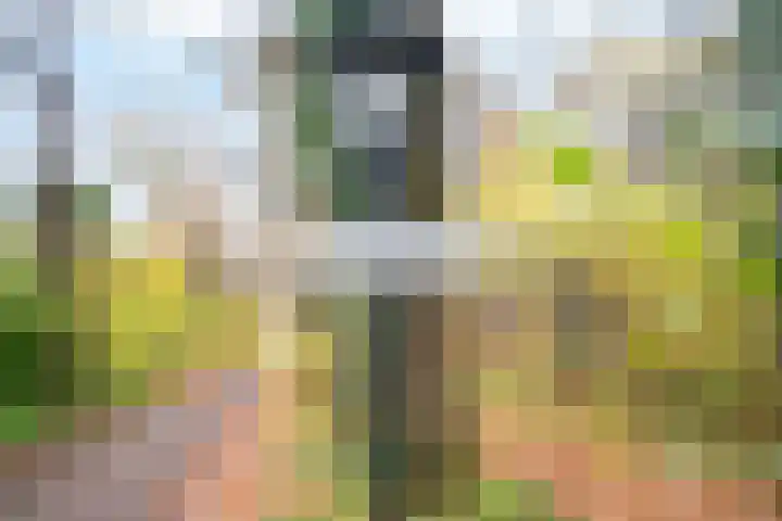 Slenerweg 83 40 Schoonoord thumbnail 39