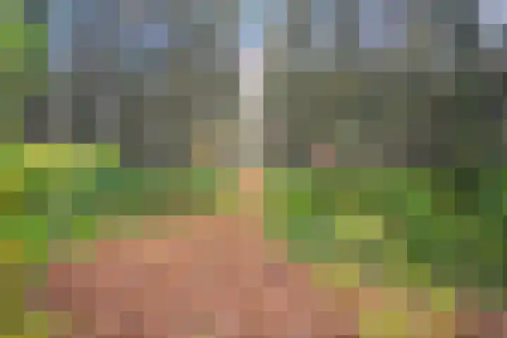 Slenerweg 83 40 Schoonoord thumbnail 40