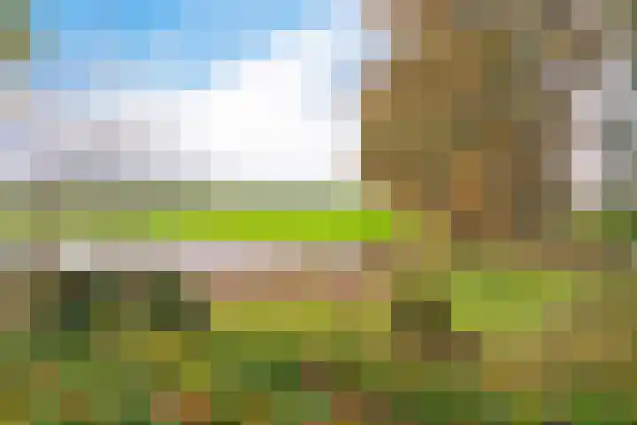 Slenerweg 83 40 Schoonoord thumbnail 41