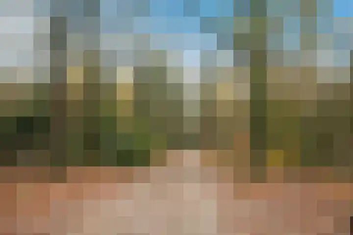 Slenerweg 83 40 Schoonoord thumbnail 42