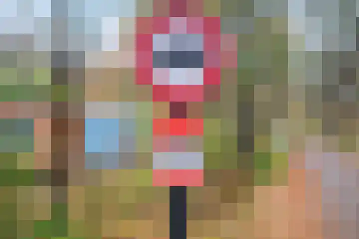Slenerweg 83 40 Schoonoord thumbnail 43
