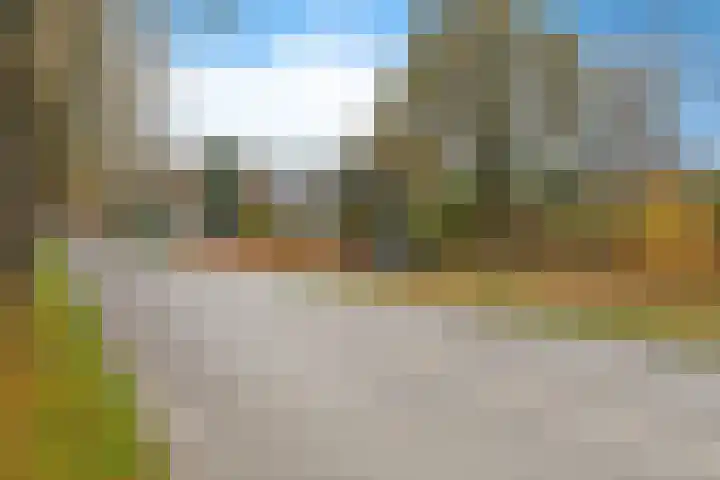 Slenerweg 83 40 Schoonoord thumbnail 45