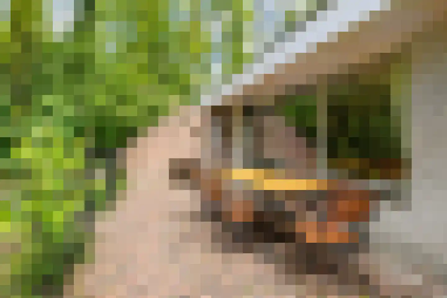 Slenerweg 83 41 Schoonoord thumbnail 10