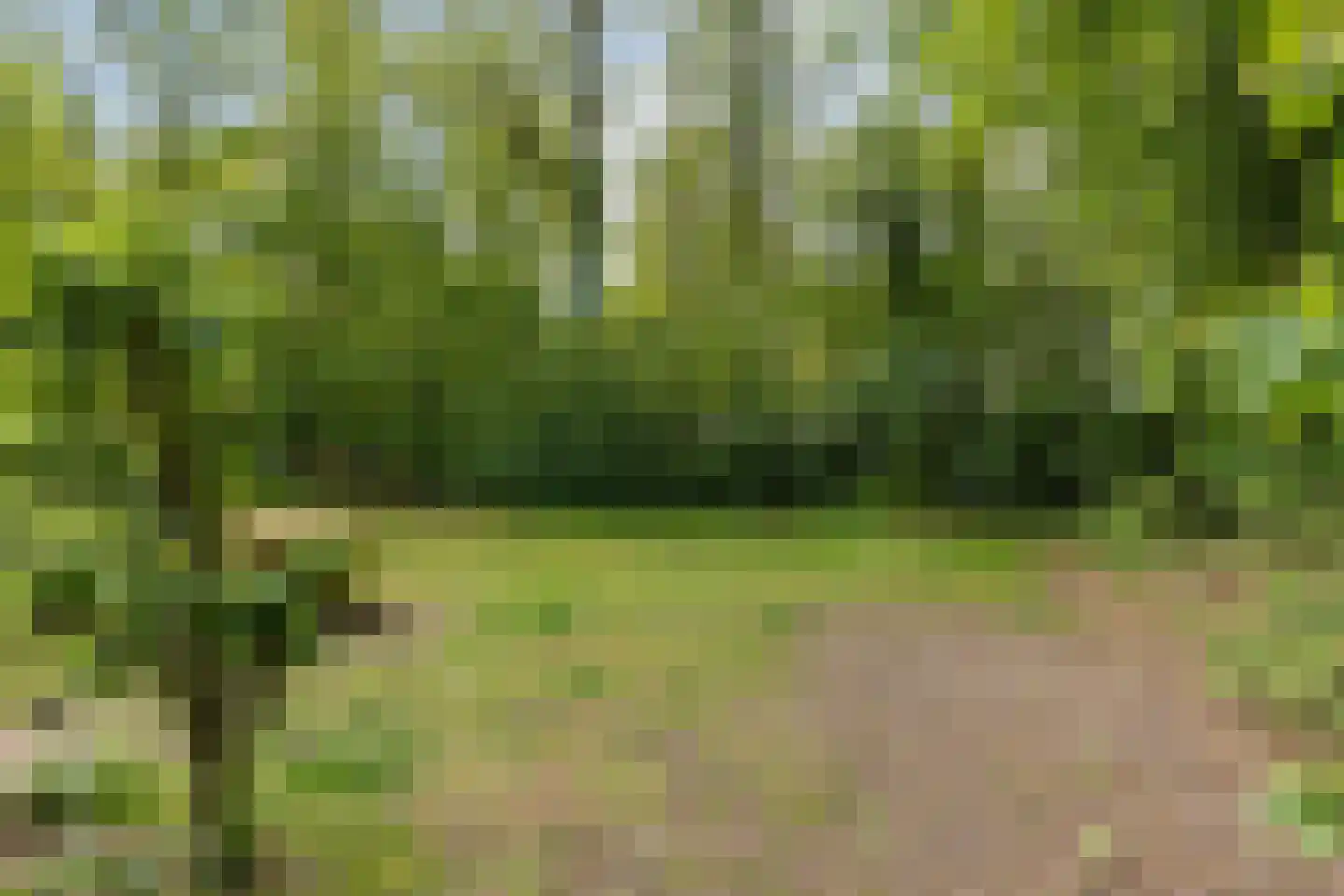 Slenerweg 83 41 Schoonoord thumbnail 30