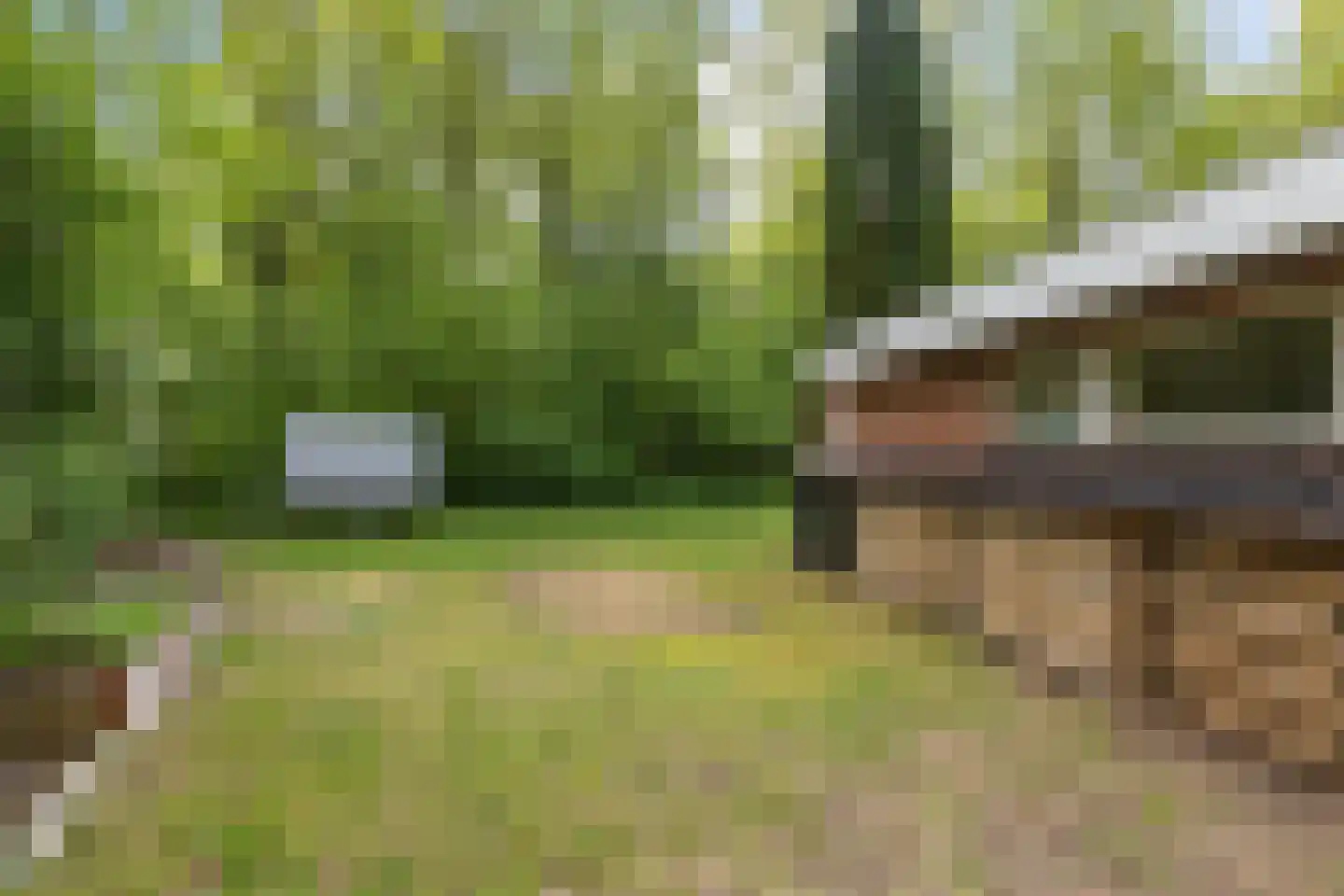 Slenerweg 83 41 Schoonoord thumbnail 33