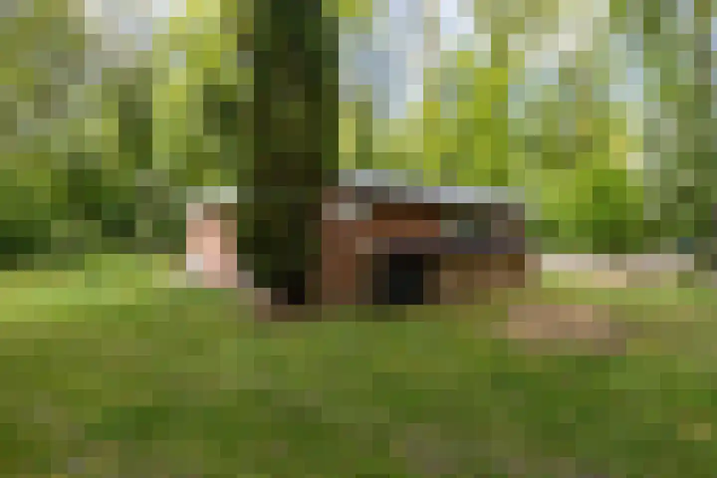 Slenerweg 83 41 Schoonoord thumbnail 34