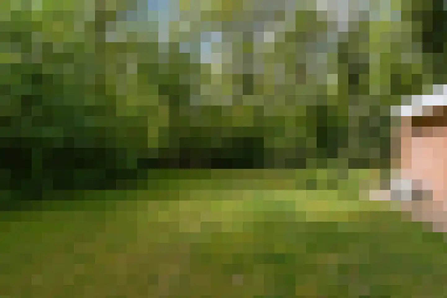 Slenerweg 83 41 Schoonoord thumbnail 35