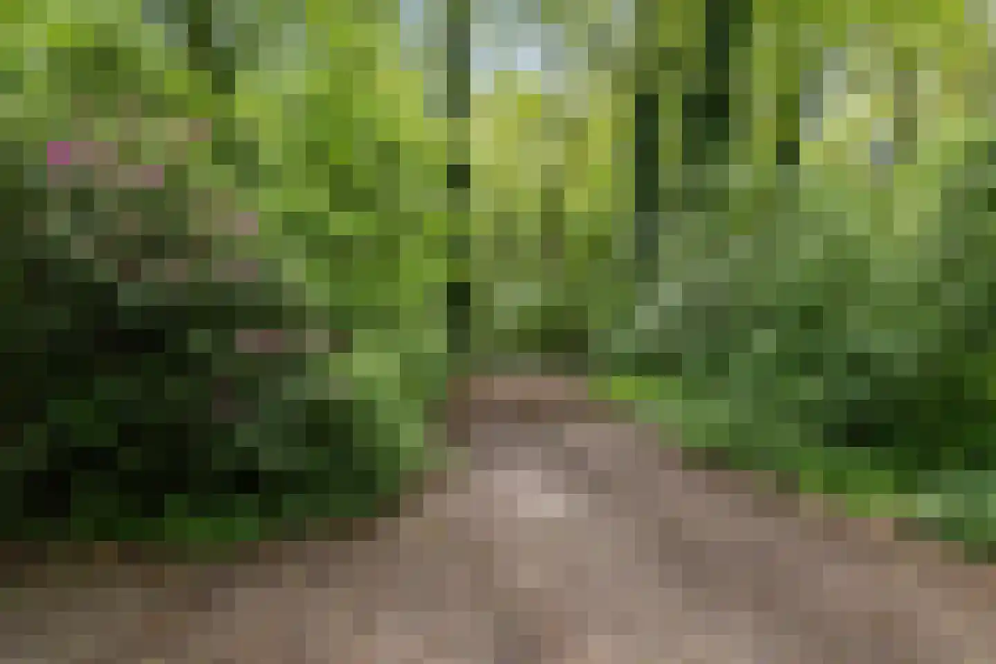Slenerweg 83 41 Schoonoord thumbnail 37