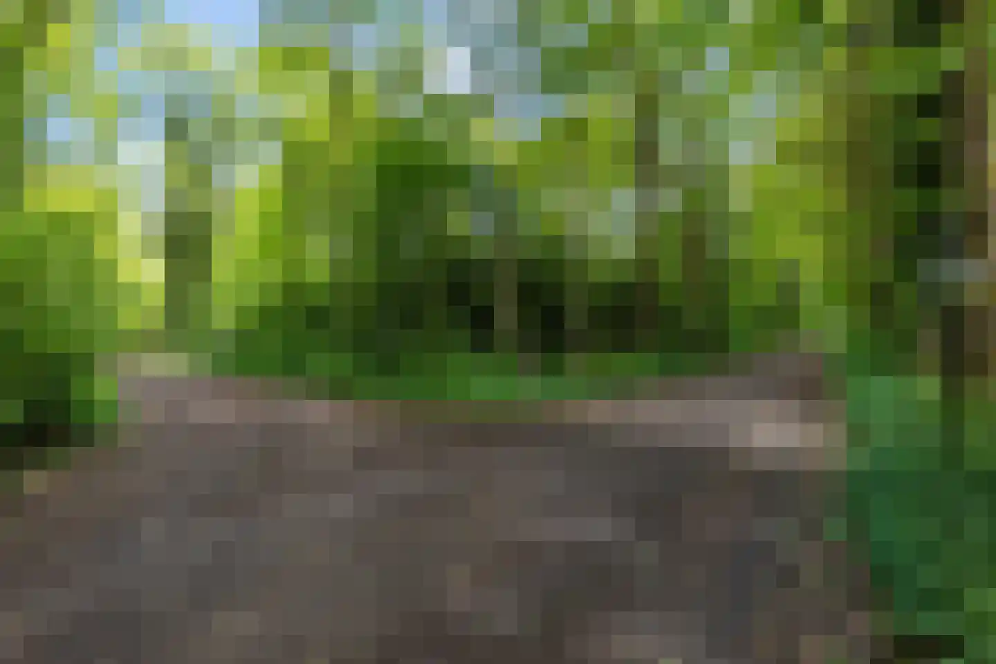 Slenerweg 83 41 Schoonoord thumbnail 38