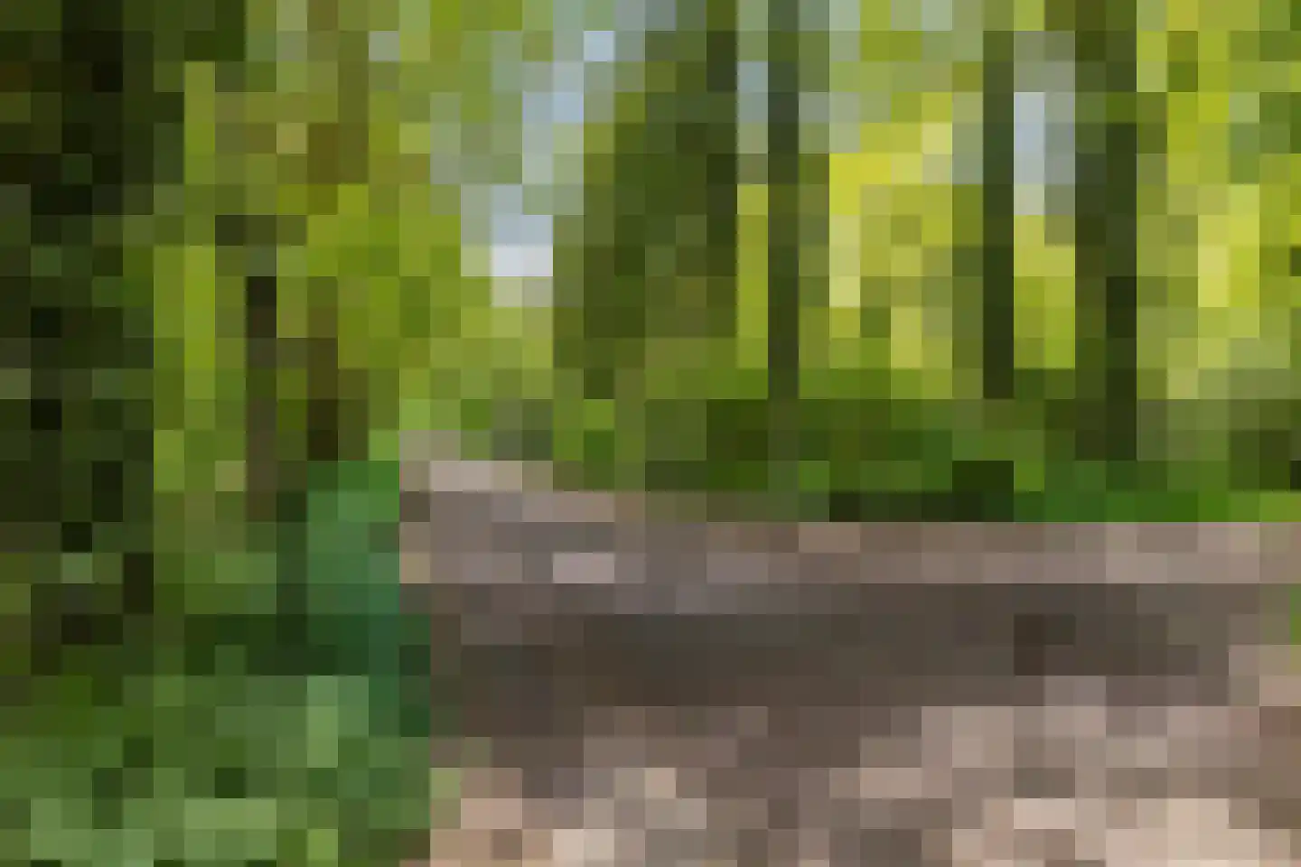 Slenerweg 83 41 Schoonoord thumbnail 39