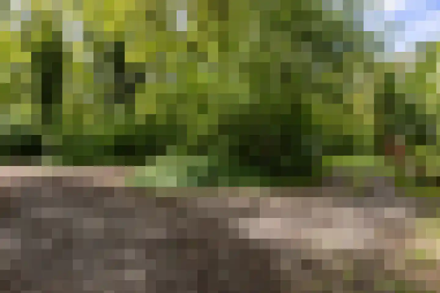 Slenerweg 83 41 Schoonoord thumbnail 40